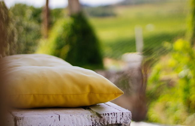 Casa Darcã - Foto 46