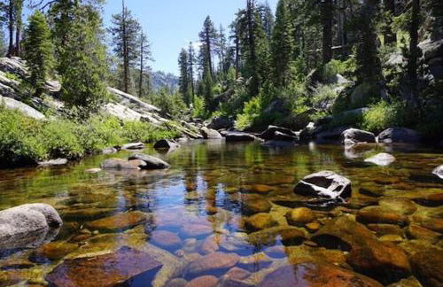 Creekside Cabin - Pup-Friendly with AC - Foto 66