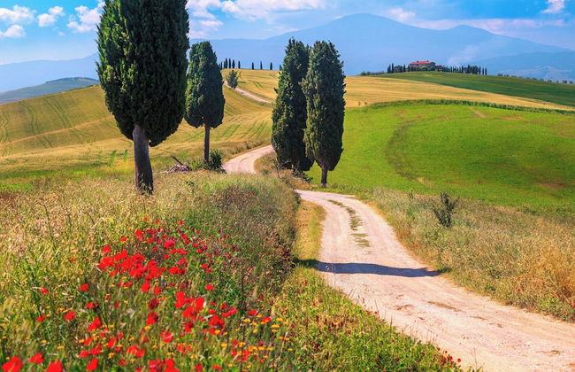 Home Rose, Montepulciano Route - Foto 10