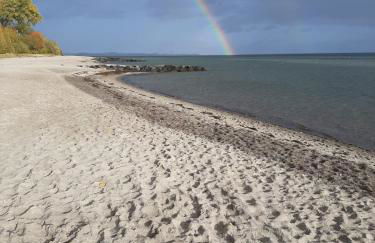 Lütte Höög - Foto 28