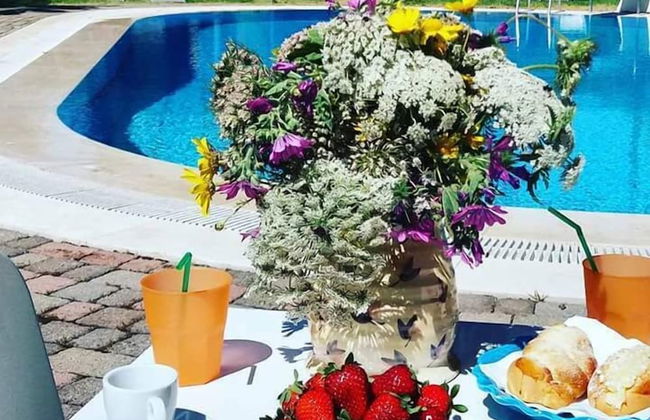 All'ombra del palmeto - Foto 43