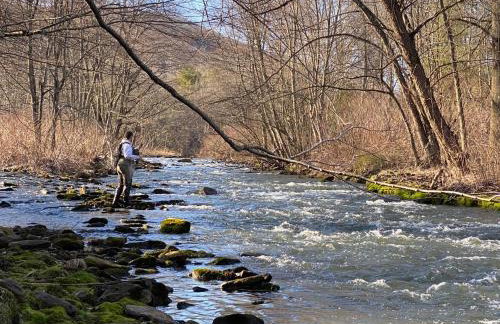 Historic Sears River Home (Main Level) on 10 Acres - Foto 33