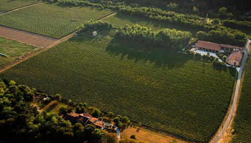 AGRITURISMO RIPA DEL BOSCO - Foto 3