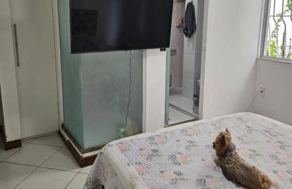 Carnaval Salvador AP Graça - Foto 4