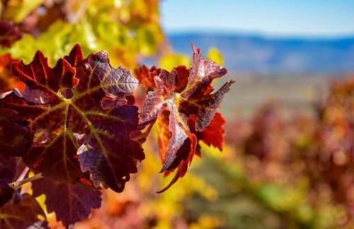 Villetta Il Faro sul Mare - Photo 76