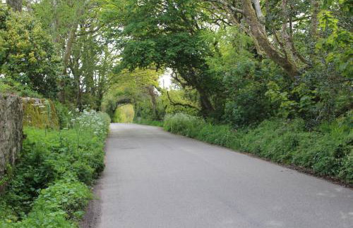 Merrivale Barn - Foto 25