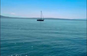 Dream In Green - Foto 45