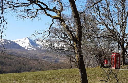 Cul Darach Lodge, Glen Roy Nature Reserve - Foto 5