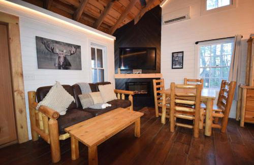 High Top cabin at Cabin Fever in NC - Foto 4