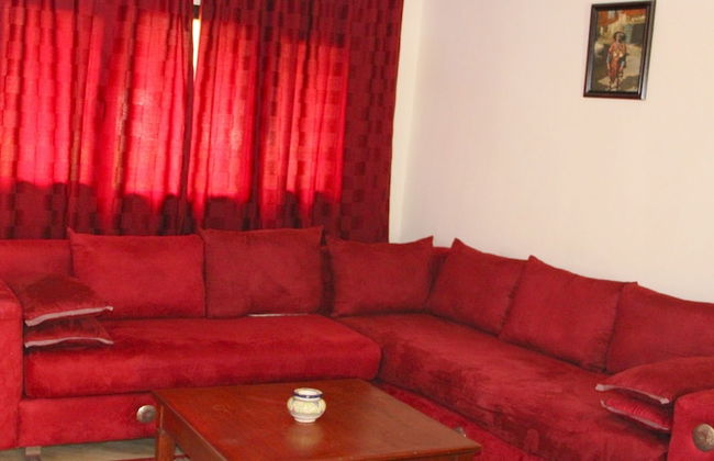 Diamant Vert - Photo 26