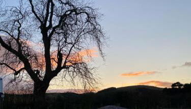 Stewards Granary - Foto 3