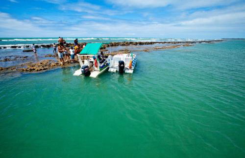 Terraços da Barra 206A Perto de tudo - Foto 5