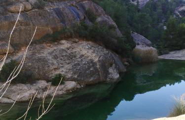 Mas de Manresa - Foto 9