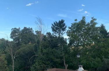 Monrepos Cercedilla - Foto 11