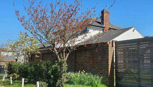 Island Retreat with HotTub - Foto 4, Garden