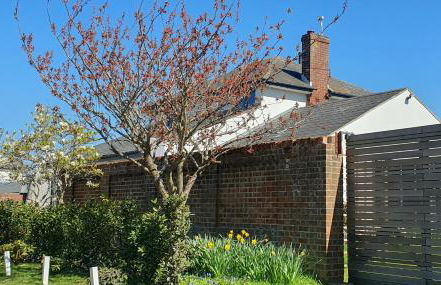 Island Retreat with HotTub - Foto 4