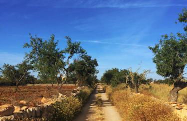 Ca n'Alorda Holiday Home Cala Llombards piscina, wifi, seguridad y relax - Foto 35