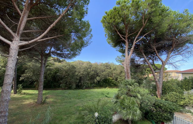 Pineforest - Foto 20