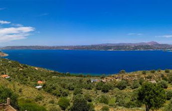 Althea Maisonettes - Foto 50