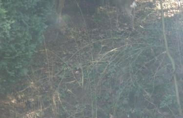 Erika's Haus in der Sonne - Foto 7