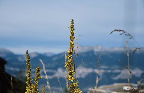 Studio Gaelle - Foto 20