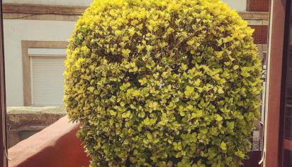 Arrábida House - Foto 5