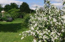 Ruralna kuća za odmor Pozojova hiža - Rural Holiday House - Foto 50