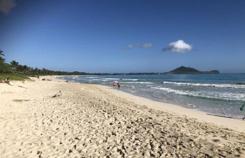 Gorgeous Renovated 1937 Plantation Style Beach House 50 Steps To The Center Of The Beach 5 Bedroom Home by RedAwning - Foto 76