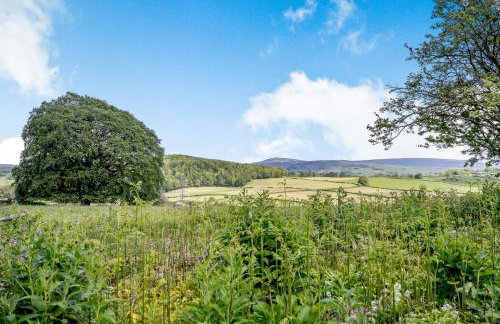 Pickle Barn - Foto 30