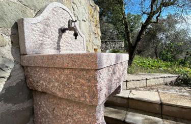 Villa gli Ulivi - Fivizzano - Foto 10