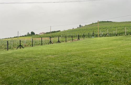 Cascina Mabette - Foto 45