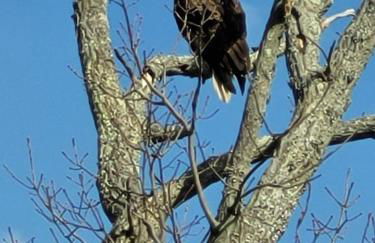 Waterfront 5 Bedroom Near BWI Annapolis Baltimore - Foto 70