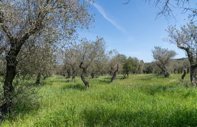 Sardinia Re - Casa Baingio - Foto 24