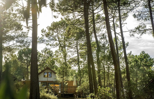 Les Oyats Sylvadoures - Foto 27