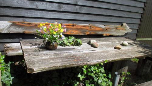 Ferienwohnungen Kanuhof - Foto 2, Garden