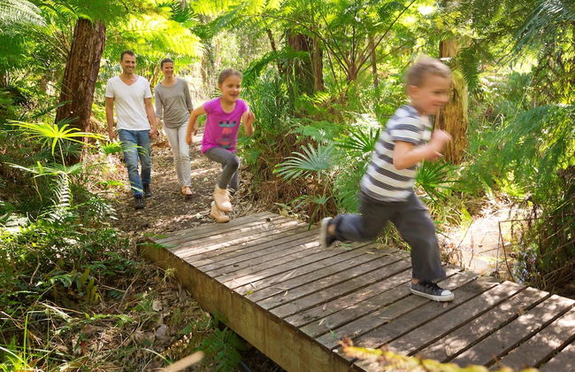 Blueys Retreat - Foto 24