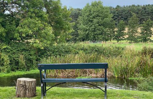 Waterside, Elmham Watermill, Norfolk - Foto 15