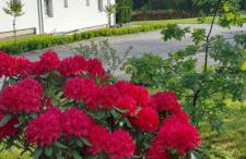 Wysokie Łąki domki w górach - Foto 33