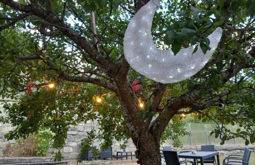 The Green Owl - Foto 16