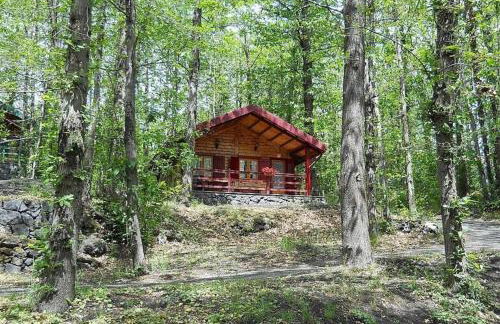 CHALET ETNA MILO - Foto 17