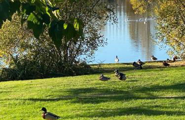 Puytraud Mer - Foto 26