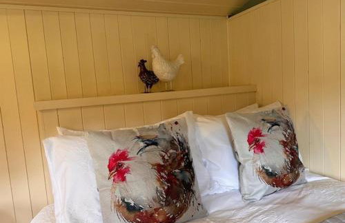 Shepherdshut-hot Tub-cotswolds-petfriendly - Photo 26