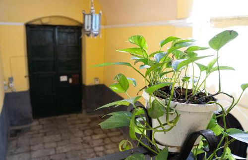 Palazzo Tranfo Al Duomo Accommodation - Foto 34