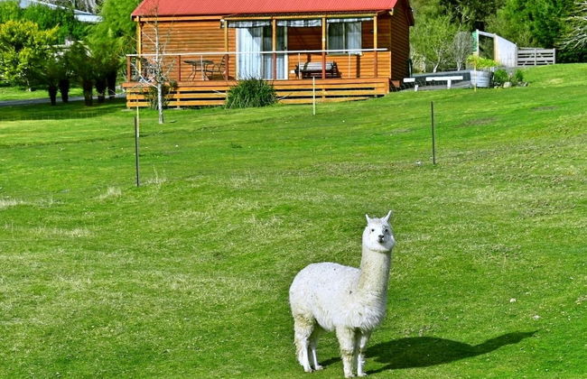 Maydena Mountain Cabins - Foto 22
