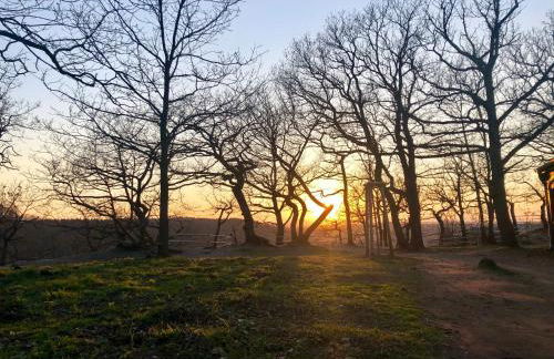 Große Wanderunterkunft am Hexentanzplatz U - Foto 17