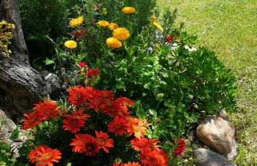 Agriturismo Terralieta - Foto 52