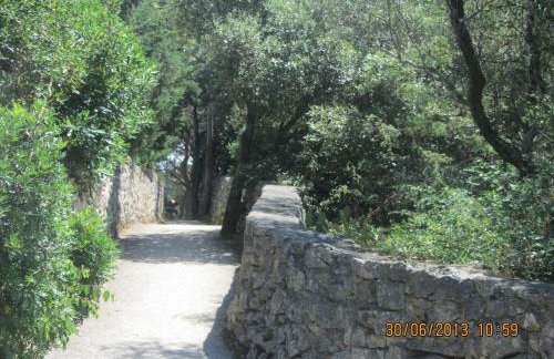 Apartments Marisa - Foto 40