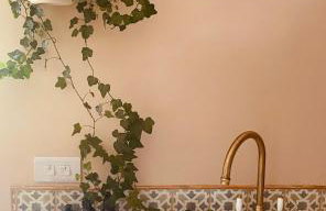 The Apple Shed - cosy cabin nestled in orchard in rural Devon - Foto 8