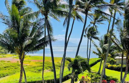 Molokai Island Retreat with Beautiful Ocean Views and Pool - Newly Remodeled! - Foto 40