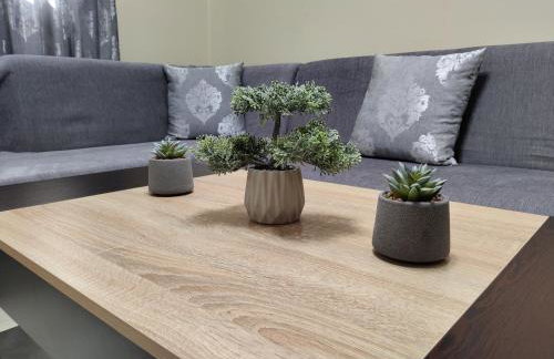 Silver Pearl Apartment - Photo 22